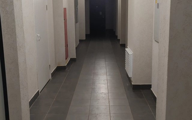 Komfortabelnaya studiya na Sudostroitelnoy Flat