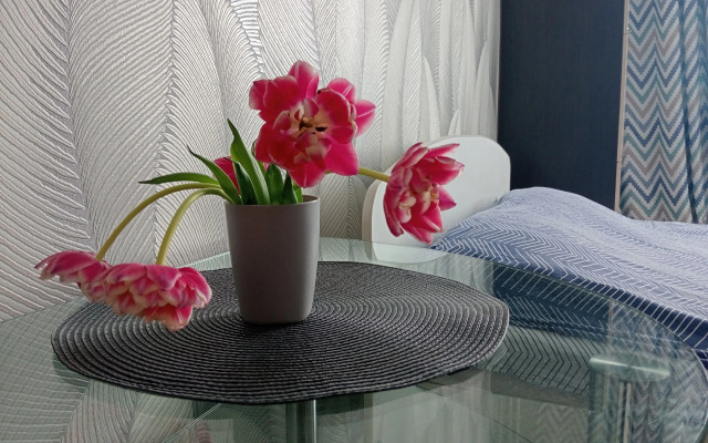 Odnokomnatnaya Flat