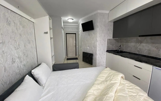 Best House Almaty Flat
