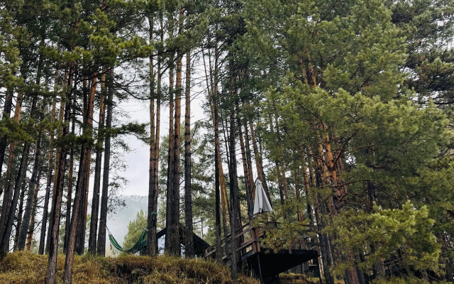 База Отдыха Шелест