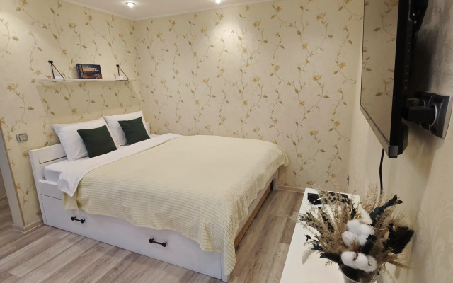 Uyutnaya Dvushka v Tsentre Dostoprimechatelnostey Flat