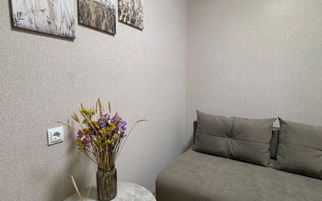 Апартаменты Дубровинского, 110б