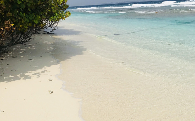 Bon Abri Maldives Guest House