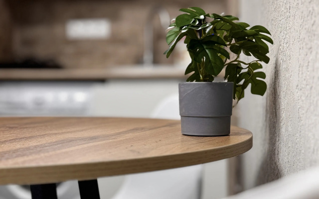 Vinogradnaya 126 flat