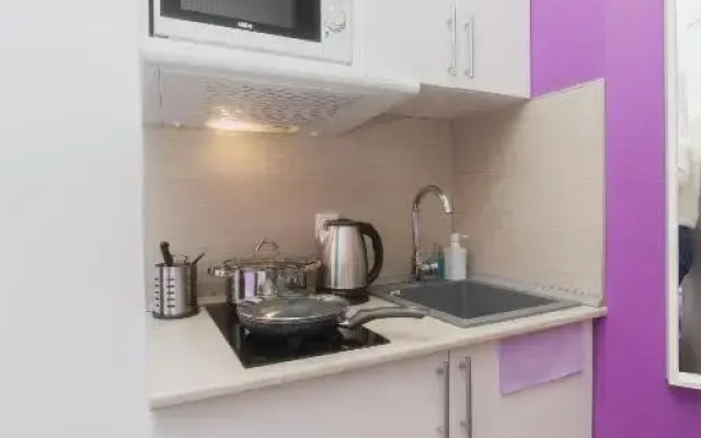 Studiya Na Bachurinskoy Apartments
