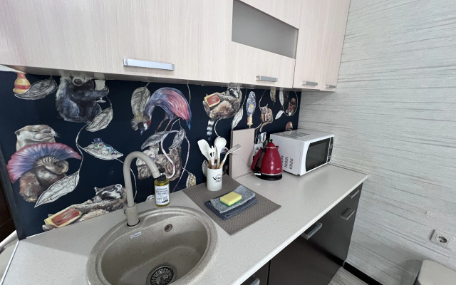 Uyutnaya Studiya na Ruzheynoy (16) Flat