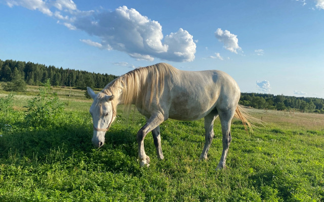 Частный дом Дом у реки в английском стиле