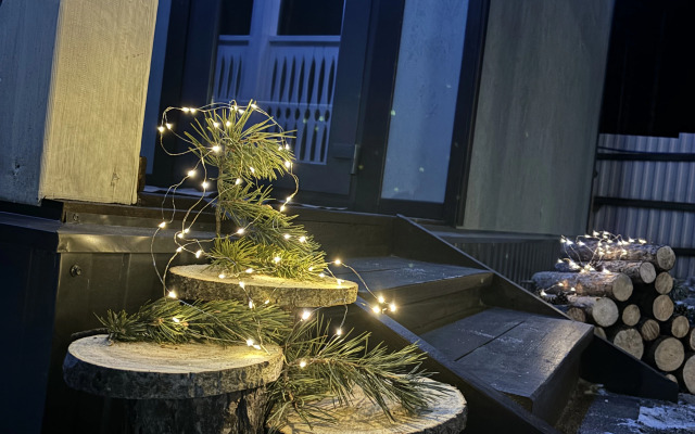 Шале Гостевой домик Среди Сосен