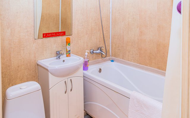 Квартира Калина на Никитина