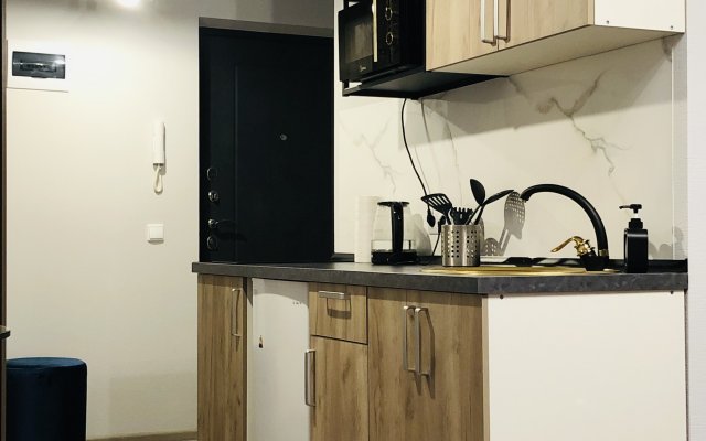 Studiya S Kaminom Na Leventsovke Flat