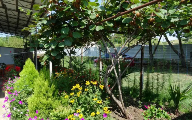 Uyut Guest house