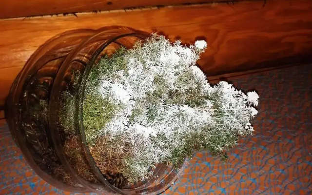 Гостевой дом Дом Капитана в Кириллове