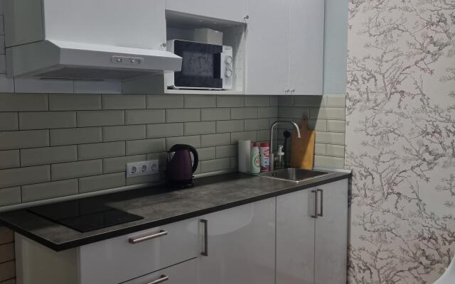 Studiya U Mechnikova Apartments