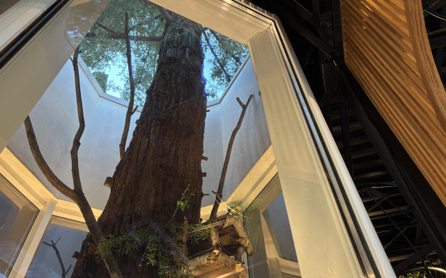 Апартаменты с видом на Дендрарий улю Депутатская, 14