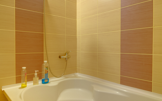 Апартаменты Душевные