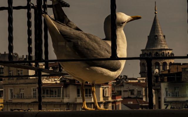GALATA M84 Hotel