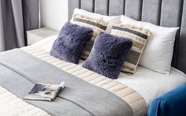 Plum na Vasilyevskom Ostrove Satin Home Apartment