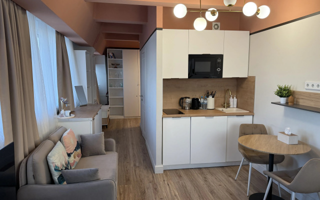 Апартаменты Новые Лофт на Соколе