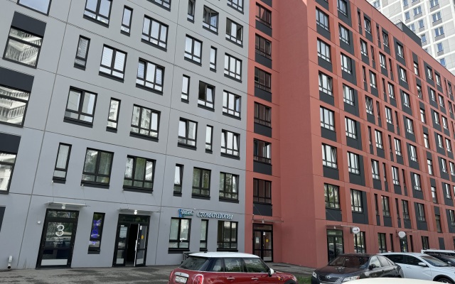 Studiya S Kaminom U Parka Flat