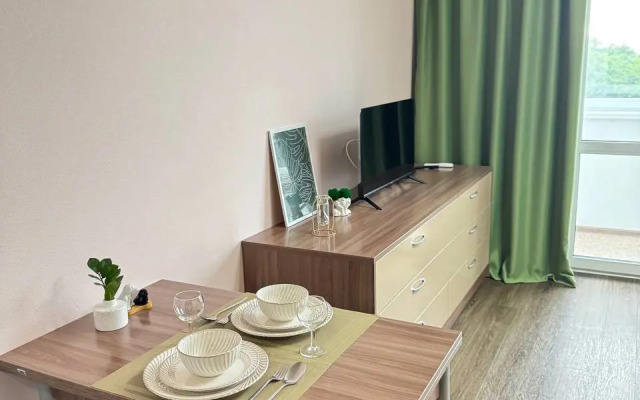 Studiya V Novom Dome Flat