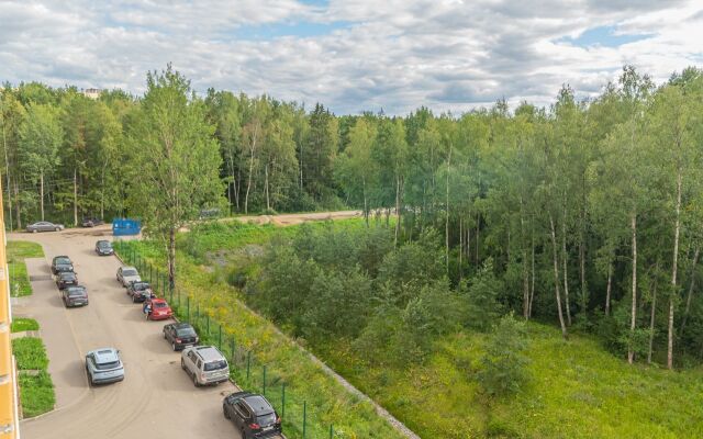 Odnokomnatnye Trekhmestnye Na Mikhaylovskaya 51 Apartments