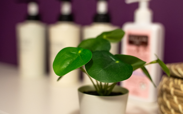 Квартира Cozy home Violet