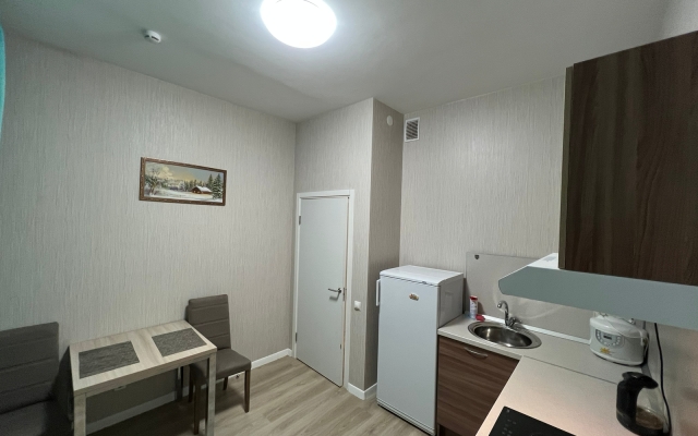 Apartment Pulkovo Neon
