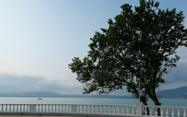 Tsentralny Hotel