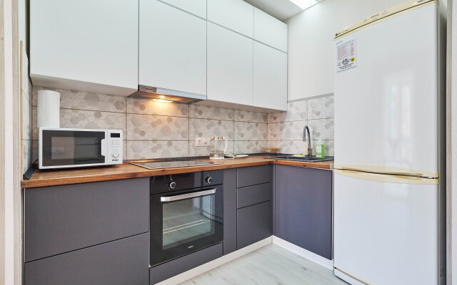 Апартаменты Петровские №15 на Советской 90