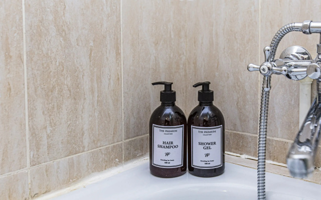 S Krasivym Vidom Na Gory Flat