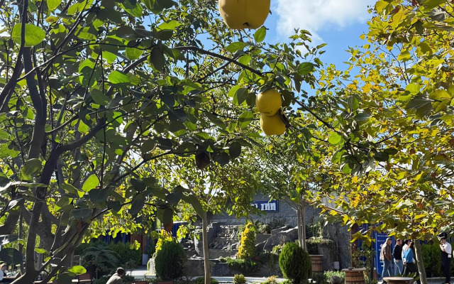 Отель Navy Inn & Bungalows