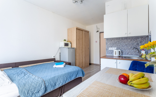 Квартира Светлая и уютная студия на Кузнечном, 8