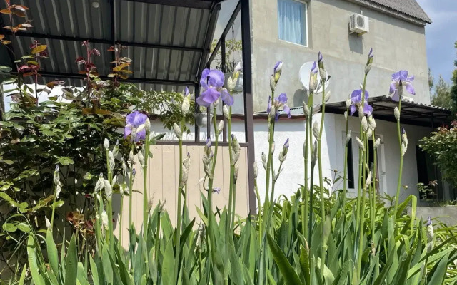 Villa Velena Guest House