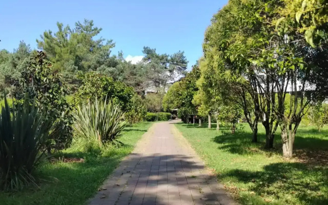 Semeynye Apartamenty Adler Apartments