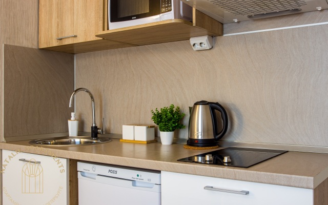 Апартаменты Студия Natalie Apartments Пулковское шоссе 14с6