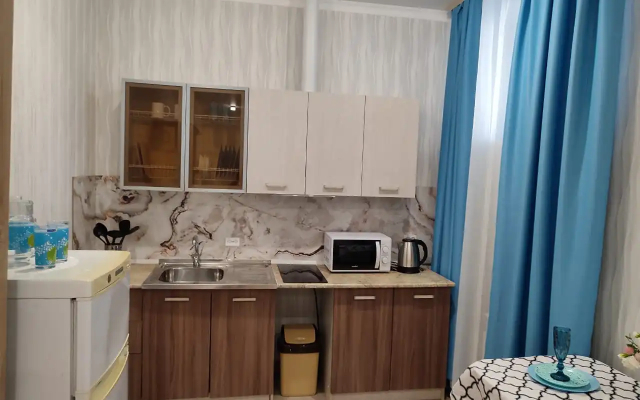 Апартаменты Просторная студия на Ленина 195