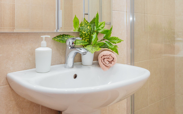 Апартаменты семейные с мангальной зоной