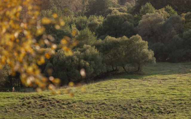 Частный дом Барнхаус на Березовой