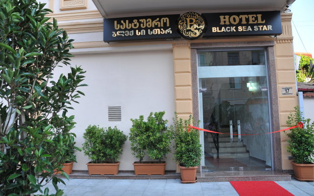 Отель Black Sea Star Batumi