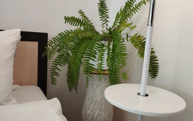 Tryokhmestnaya. Tsentr. Svetlaya. Teplaya. Balkon Flat