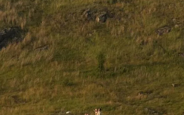 Частный дом в Уютном и Тихом Месте