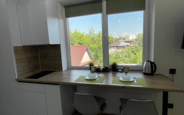 Studiya v Tsentre Flat