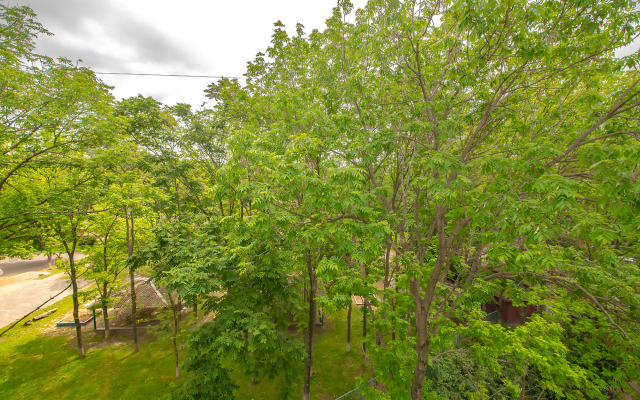 Апартаменты на Русской 56