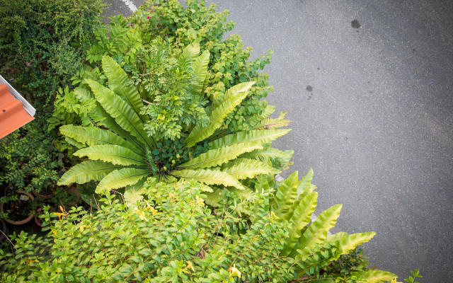 Отель Suchanan Hotel & Spa