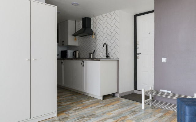 Апартаменты Welcome Home Владимирский 15