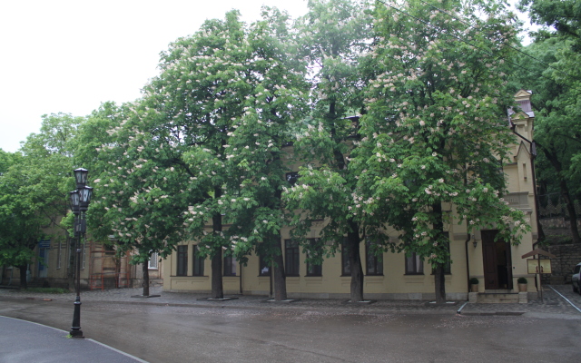 Meditsinskij Tsentr Knyazhna Meri Mini-Hotel