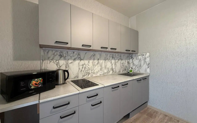 Ryadom s novym Avtovokzalom Flat
