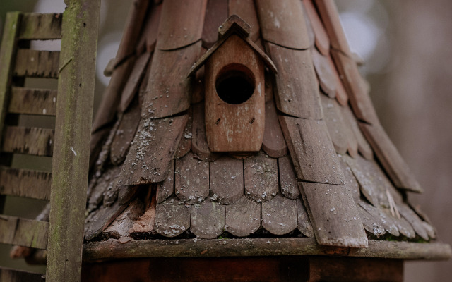 Отель Пайн Ривер