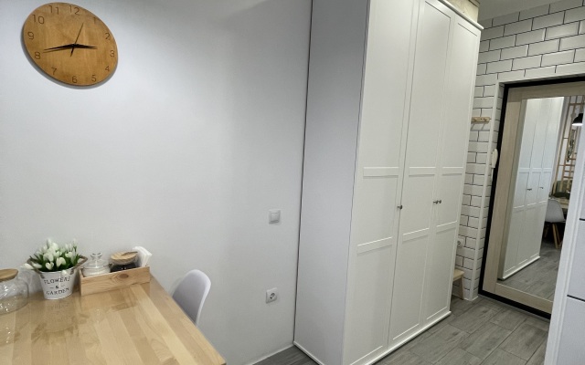 Квартира Зеленая Студия на Соколова