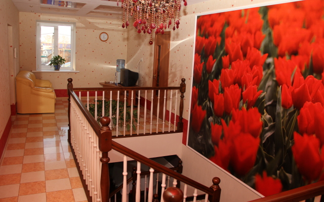 Vizit Guest House